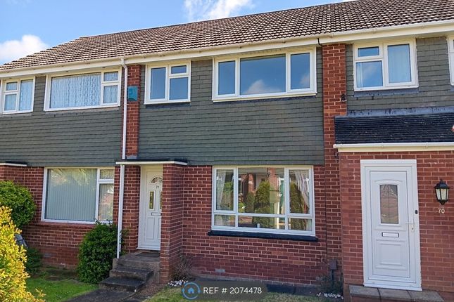 Thumbnail Terraced house to rent in Addison Close, Exeter