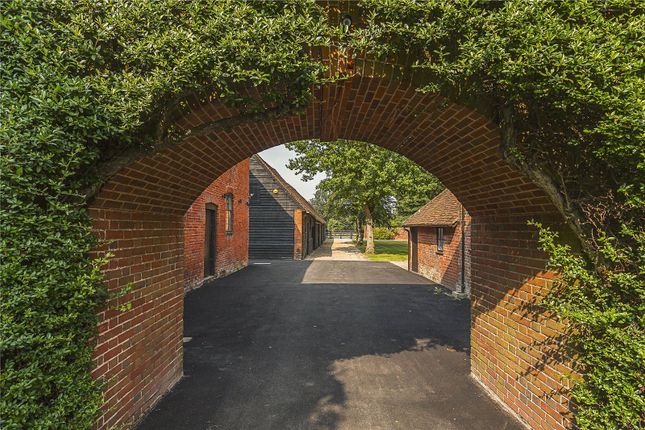 Grounds