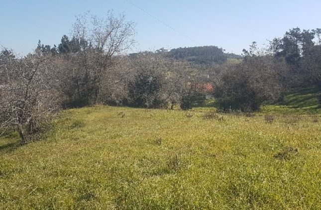 Land for sale in Casalinho, Pombal (Parish), Pombal, Leiria, Central Portugal