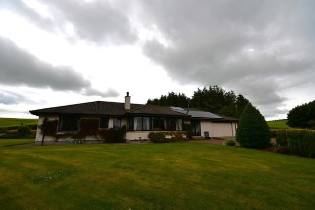 Detached bungalow to rent in Lochussie, Conon Bridge, Dingwall
