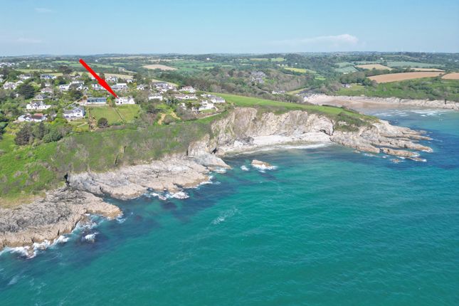 Te Roa, Falmouth photo 4