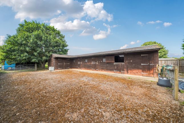 WILLOW FARM, Middle Drove, St Johns Fen End, WISBECH photo 3