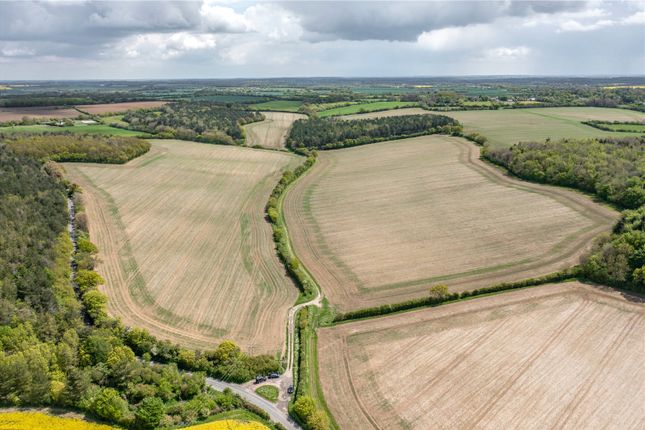 Thumbnail Land for sale in Sewards End, Saffron Walden, Essex