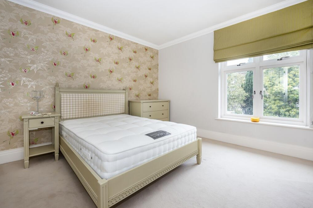 Detached house to rent in Chalmers Way, Twickenham