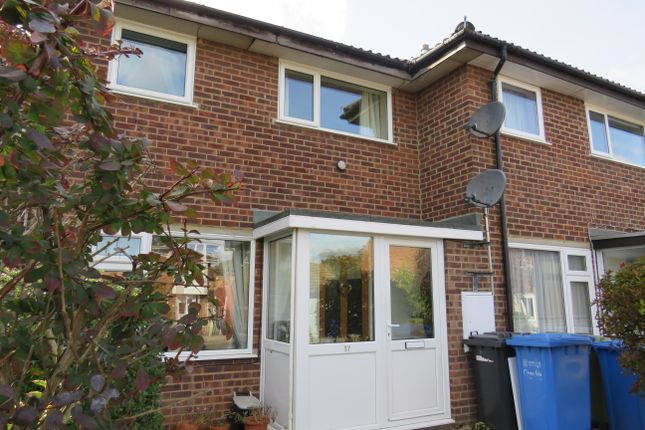 Thumbnail Property to rent in Walcot Close, Norwich