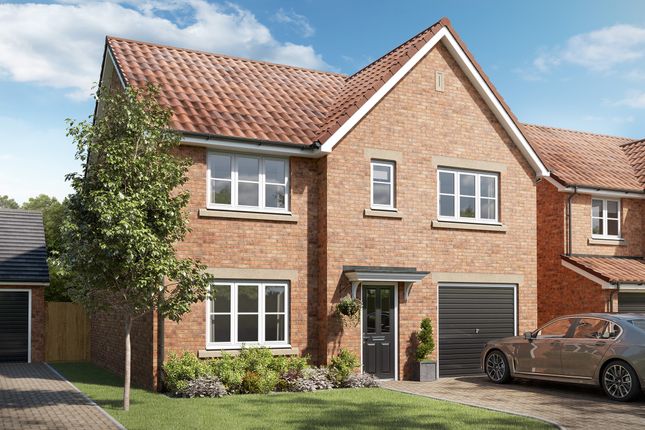 Thumbnail Detached house for sale in "The Winster" at Whitedale Road, Calverton, Nottingham
