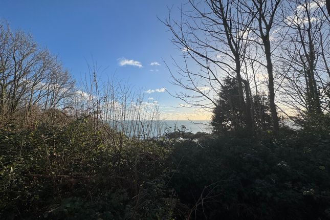 10, Castle Court, Ventnor photo 2