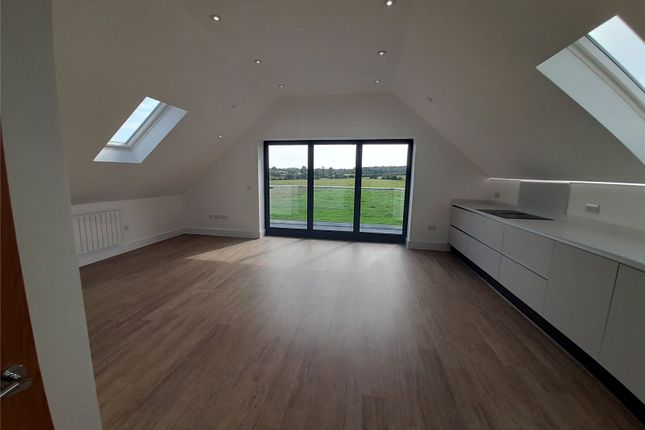Kitchen/Living Area
