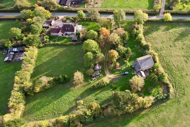 Lilleys Farm,, Moorside, Dorset photo 2