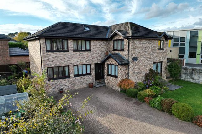 Thumbnail Detached house for sale in Naismith Court, Stonehouse, Larkhall