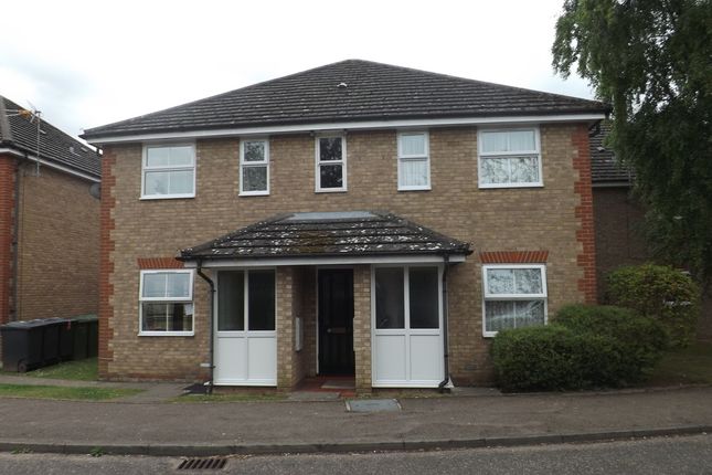 Thumbnail Flat to rent in Ben Culey Drive, Thetford