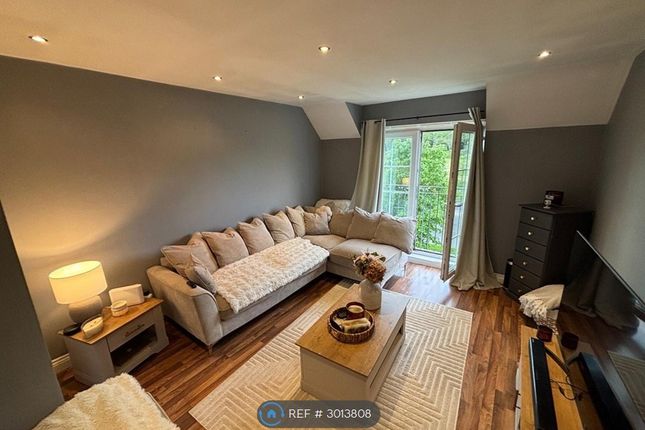 Anderton Crescent, Buckshaw Village, Chorley photo 3
