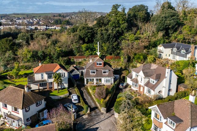 Thumbnail Detached house for sale in Dosson Grove, Torquay