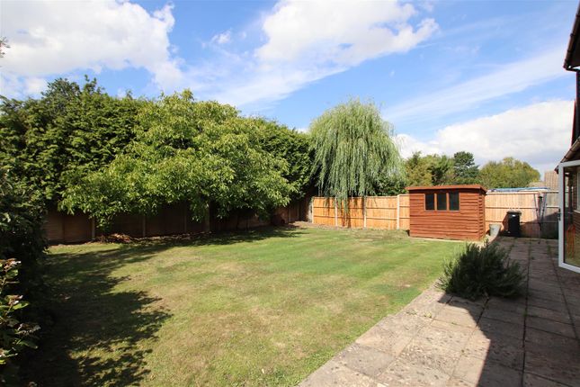 Link-detached house to rent in Pottery Lane, Nutbourne, Chichester
