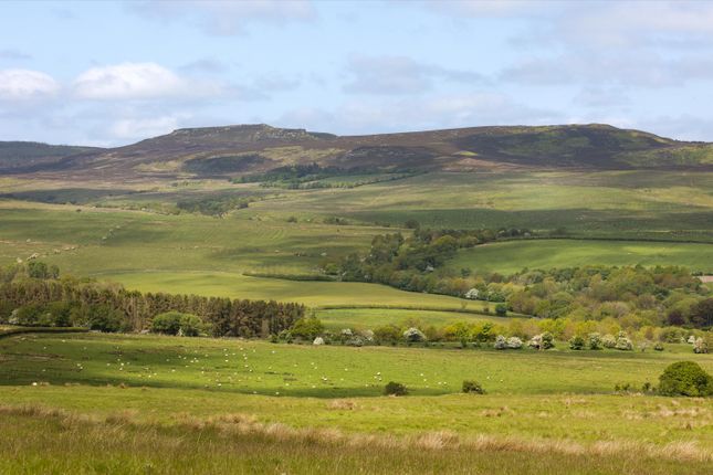 Thumbnail Farm for sale in The Rothbury Estate, Northumberland