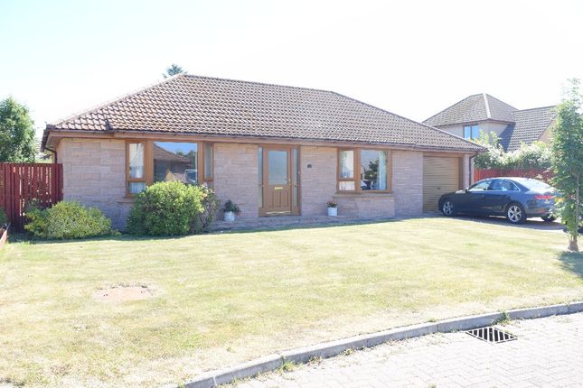 3 bed bungalow to rent in Weddershill Court, Hopeman, Moray IV30