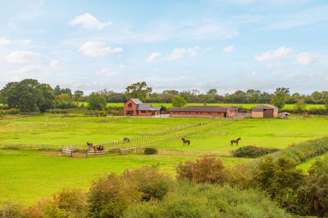 Fields