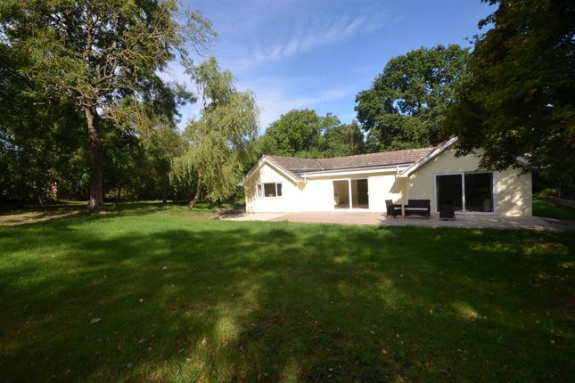 Thumbnail Detached bungalow for sale in Hunger Hill, East Stour, Gillingham
