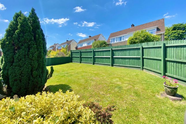 1, Willow Green, Newport photo 2
