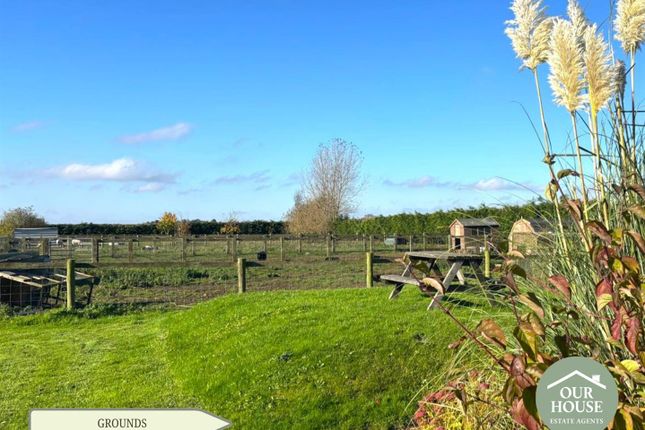 Paddocks And Animal Housing
