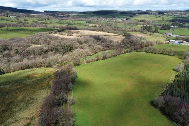 Lot 2: Cwmpadest Farm,, Crai, Powys photo 2