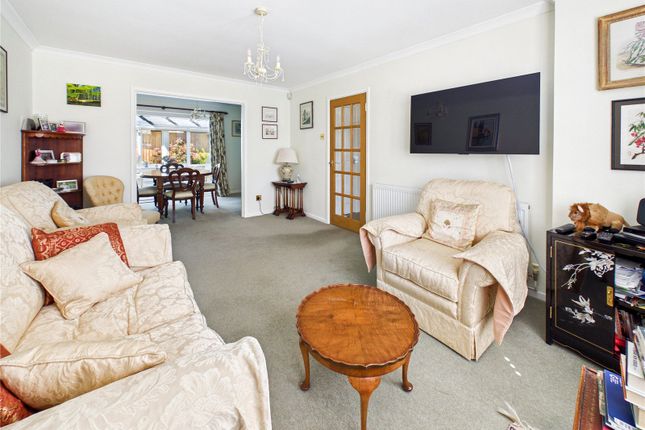 23, Ranulph Way, Chelmsford photo 4