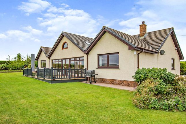 Thumbnail Bungalow for sale in Login, Whitland
