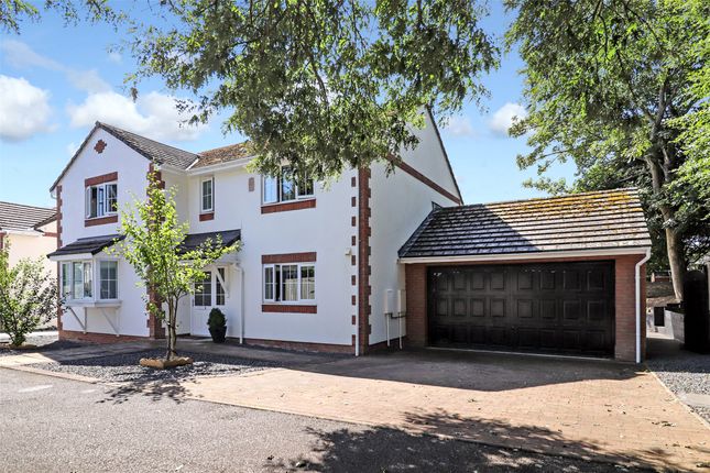 Thumbnail Detached house for sale in Witten Gardens, Northam, Bideford, Devon