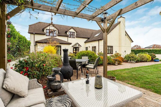 The Old Vinery, Gourders Lane, Newton Abbot photo 4