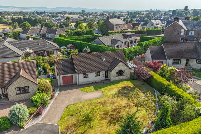 Dji_20250813164115_0039_D