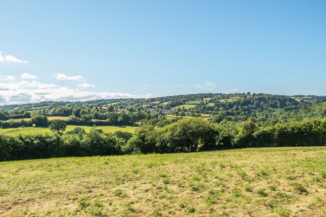 Hillside, Taunton photo 3