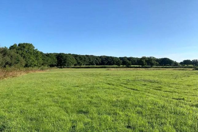 Land for sale in Exbourne, Okehampton, Devon