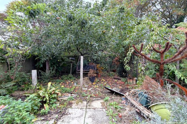12, Edward Avenue, Newark photo 3