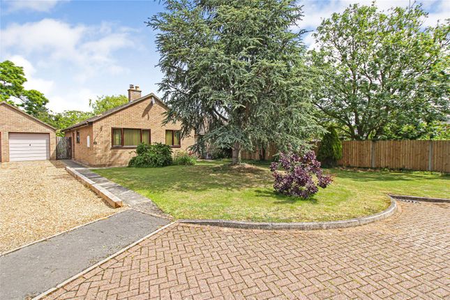Thumbnail Bungalow for sale in Andrews Close, Stretham, Ely