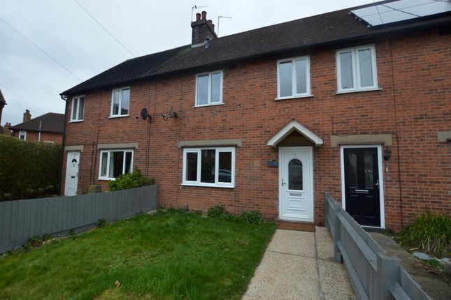 Thumbnail Terraced house to rent in De Burgh Road, Colchester