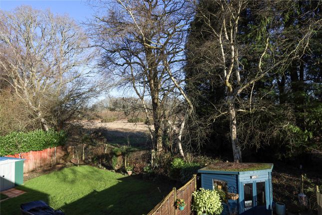 22, Woodpeckers, Godalming photo 2