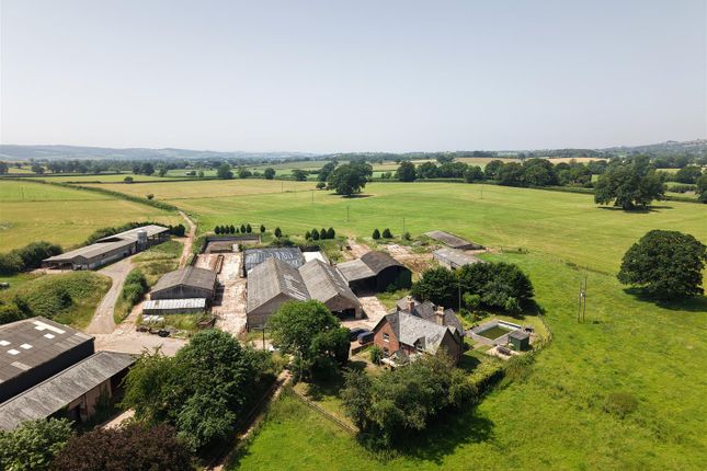Yellowford Farm, Thorverton photo 2