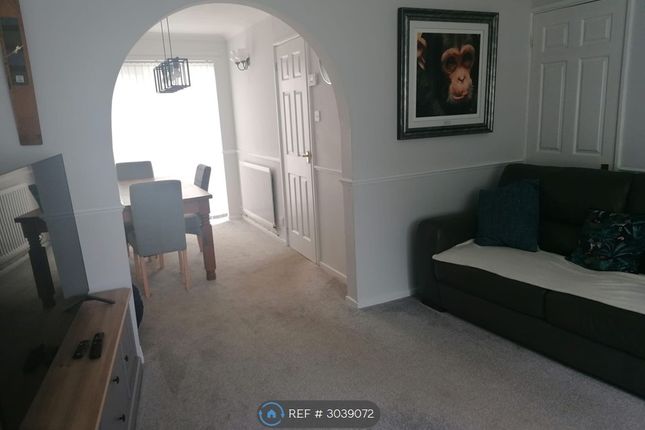 Honeywood Gardens, Darlington photo 4
