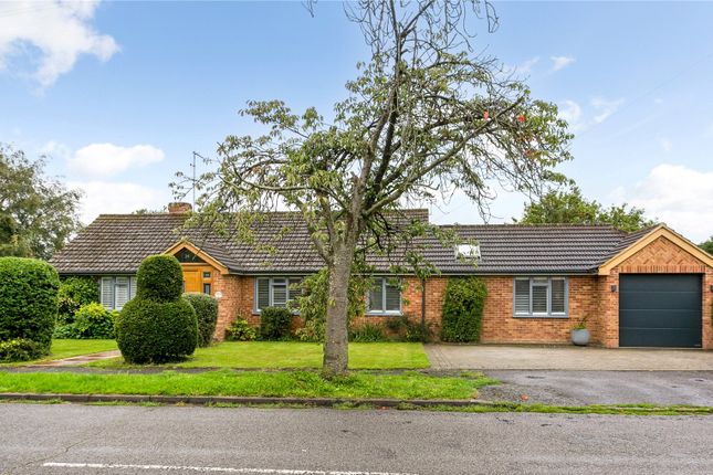 Thumbnail Bungalow for sale in River Park Drive, Marlow, Buckinghamshire