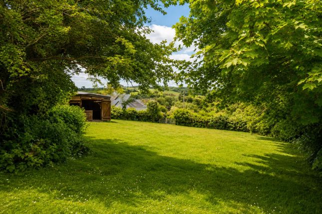 Patchoag, Llanllwni, Llanybydder photo 3