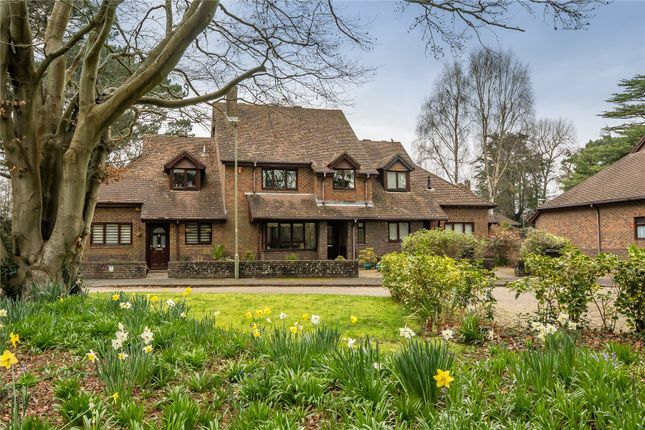 2, Woodley Gardens, Hampshire photo 4