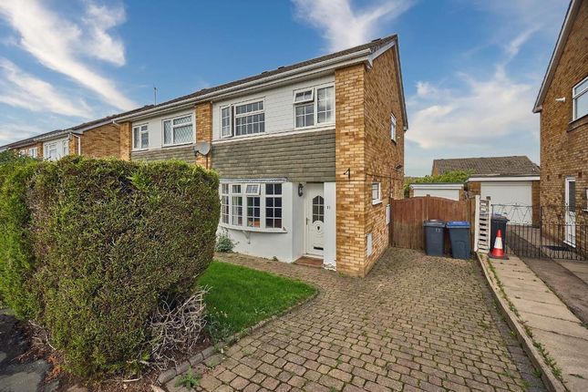 Millers Green Bb Garden 13.Png