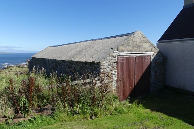 Braes of Gills, Wick photo 2