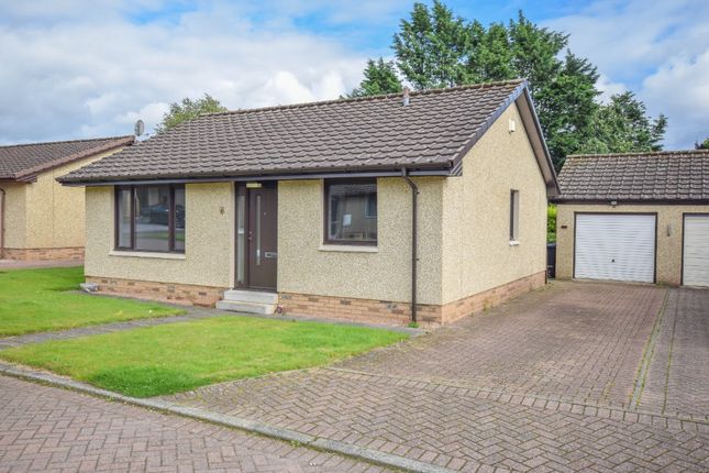 Thumbnail Bungalow to rent in Beulah Howe, Forfar, Angus