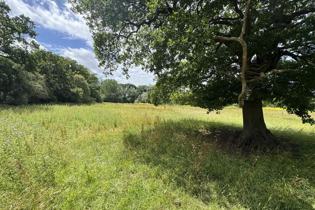 Land At West Parley