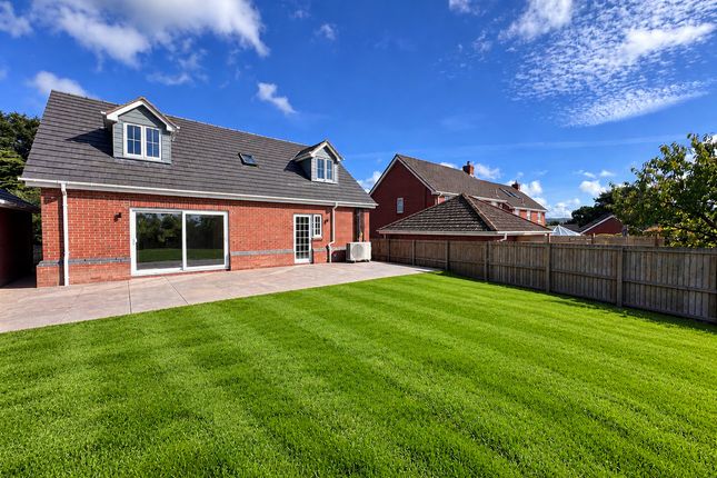 Marles Close, Honiton photo 4