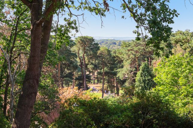 Brockspur,, Ravenscroft Road, St George's Hill photo 4