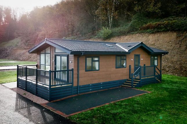 Nadines Country Park, Half Moon Village Newton St Cyres, Exeter photo 4