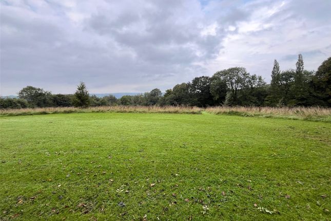 Pasture Paddocks