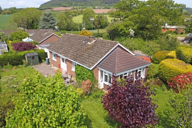 Thumbnail Detached bungalow to rent in Harcombe Lane East, Sidford, Sidmouth